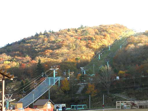 茶臼山高原スキー場の紅葉(愛知県北設楽郡豊根)