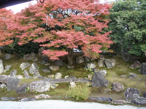 圓徳院北庭.。池泉回遊式庭園