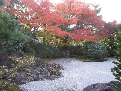 圓徳院、南庭