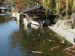 徳川園、船小屋と鯉