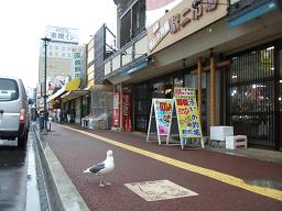 函館朝市駅二市場かもめ