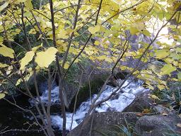 徳川園、大曽根の瀧