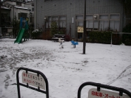 東京で久しぶりの雪です