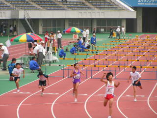 PICT0341.JPG