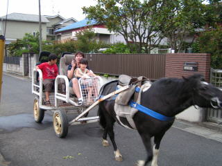 PICT0491.JPG