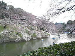 chidorigafuchi