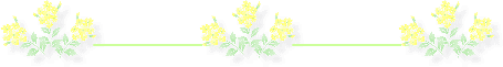 黄色花１