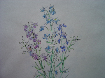 ブルーフラワー　２