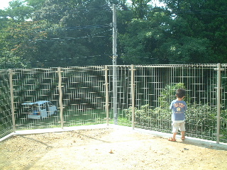 fence-2.JPG