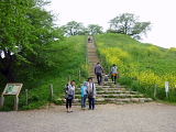 丸墓山古墳　登るぞ