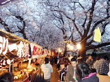 熊谷さくら堤　屋台