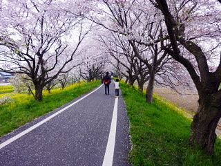 さくら堤公園のトンネル