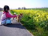 2009大里　カレンと散歩