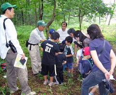 satoyama