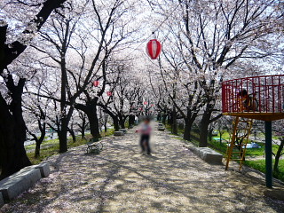 2008万平公園