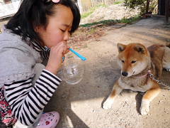 カレンとかのん　20090214