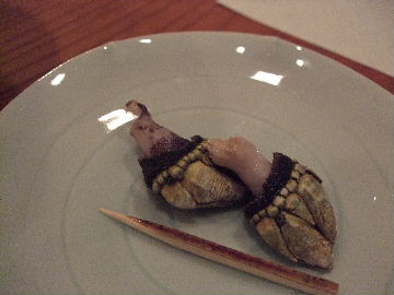 081108亀の手ヒオウギカイシャコ 008.jpg