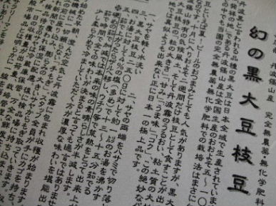 081101枝豆ケロ 026.jpg