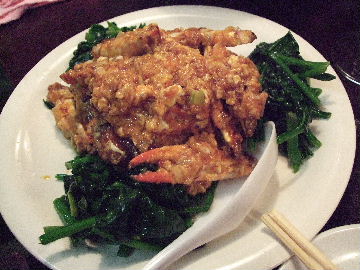 090128サボテンまこちゃんゆうえん 016.jpg