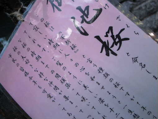 100108京都引き手 025.jpg