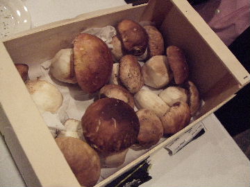 081109華壱ミオオルト 018.jpg