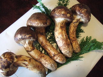 080908松茸こくや醤油カリカリつけ麺８５０円 004.jpg