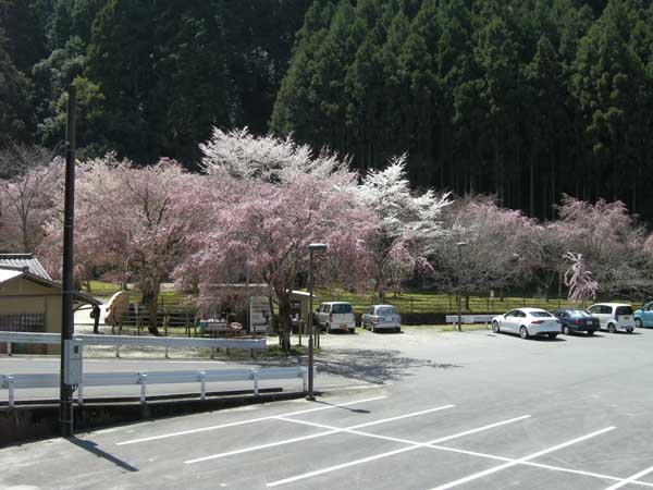 1258 あきつの小野