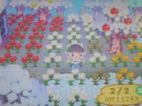 花の水やりリタイヤ