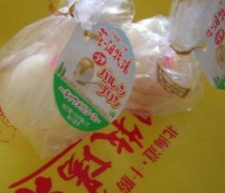 花畑牧場　バルーンプリン