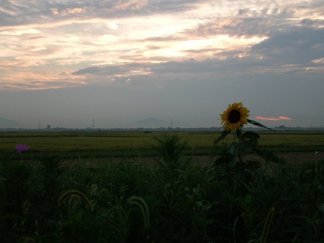 DSCN1243.jpg