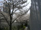 cimg0382a.jpg