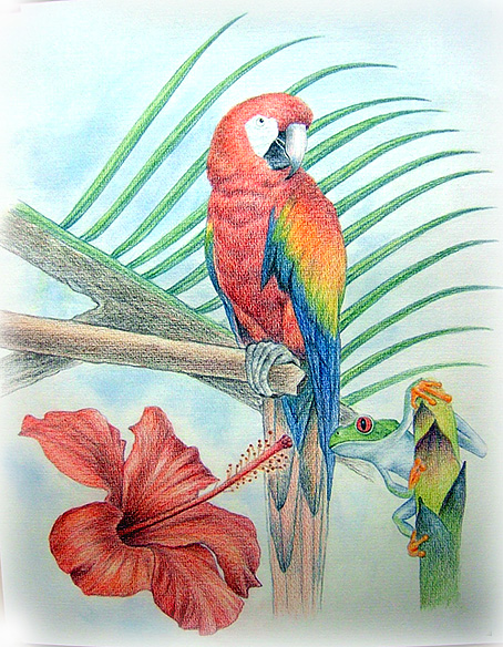 「夏」イメージ