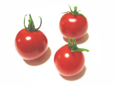 web講座用　トマト