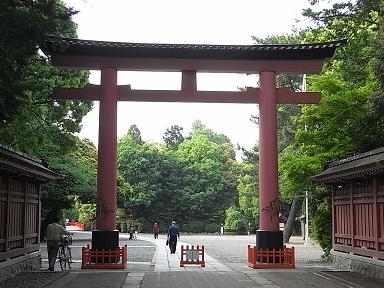 氷川神社 鳥居