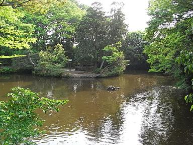 氷川神社2