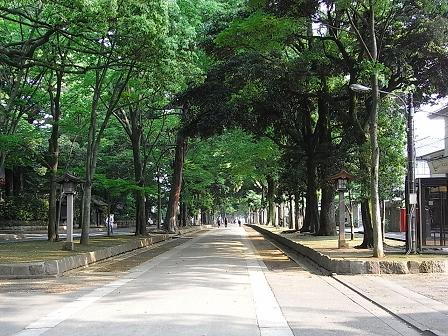 氷川神社参道