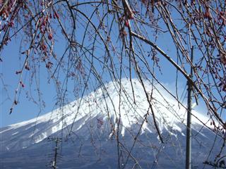 4月の富士山