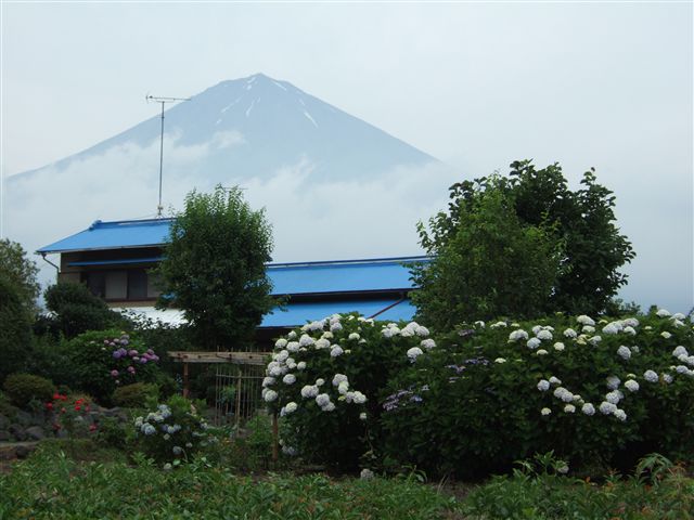 7月の富士山