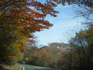 富士山の紅葉