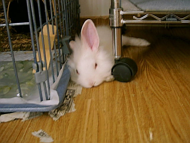 つかれた～なの