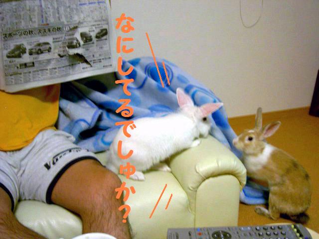 なにしてるでしゅか?