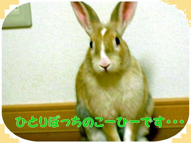 一人なの・・・