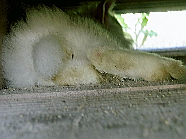 これはΣ(*ﾟ◇ﾟ*)