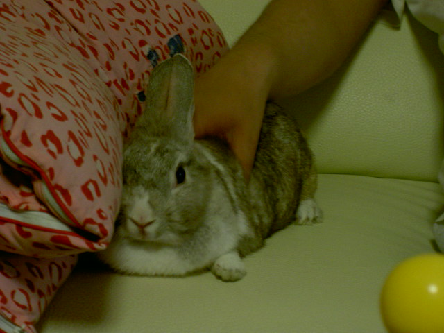 どう？太った？