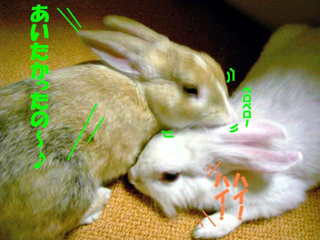 あいたかった～！