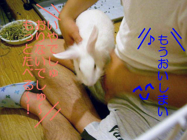 もうない･･･