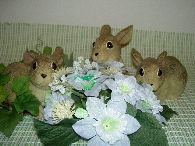 三羽そろって♪