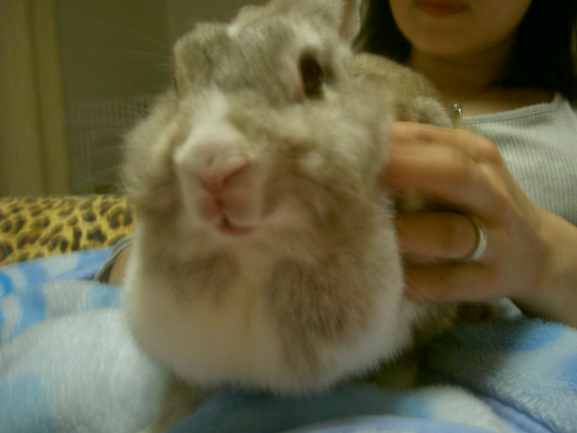 マッサ～ジ中♪