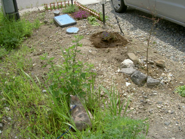 どこ？れおさん