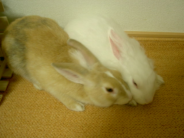 楽しかったの～♪